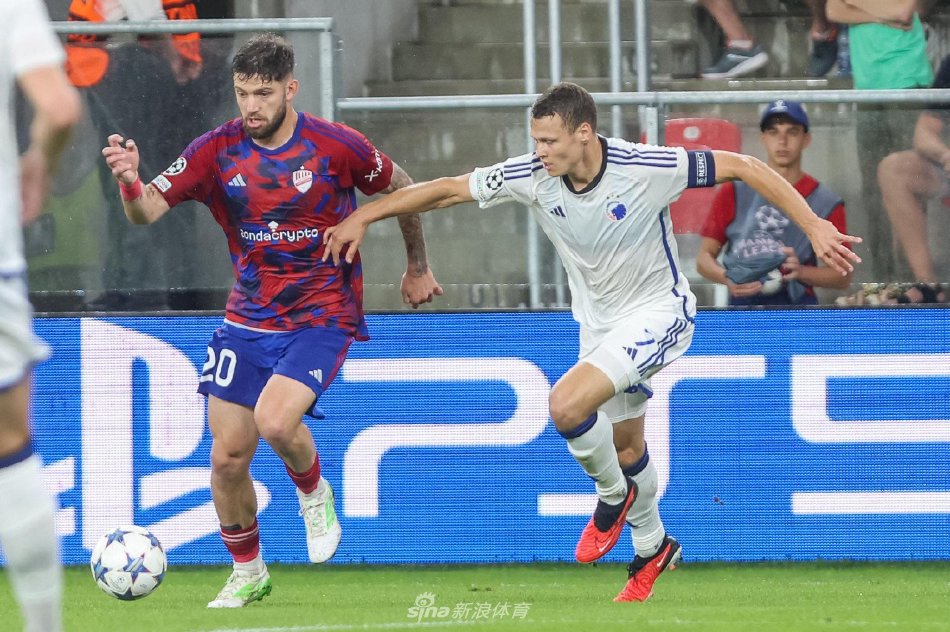 冬季运动的 冬季运动的