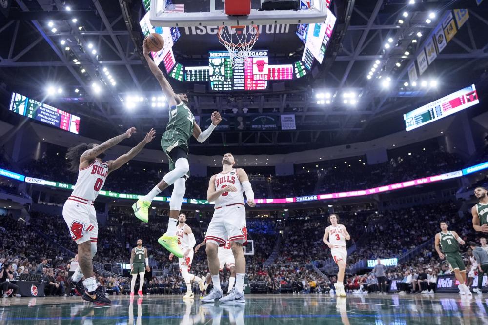 引进新生代 引进新生代